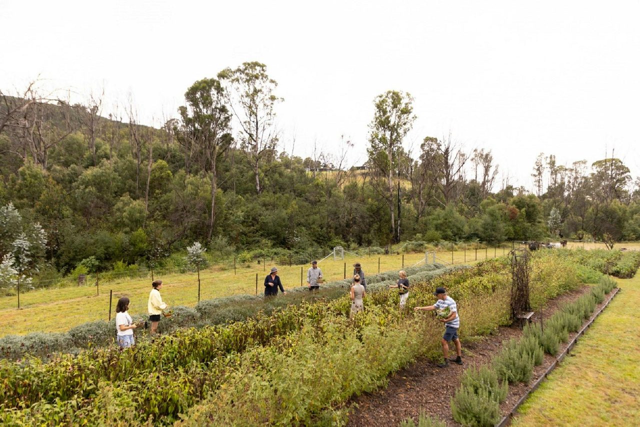 Saarinen Organics