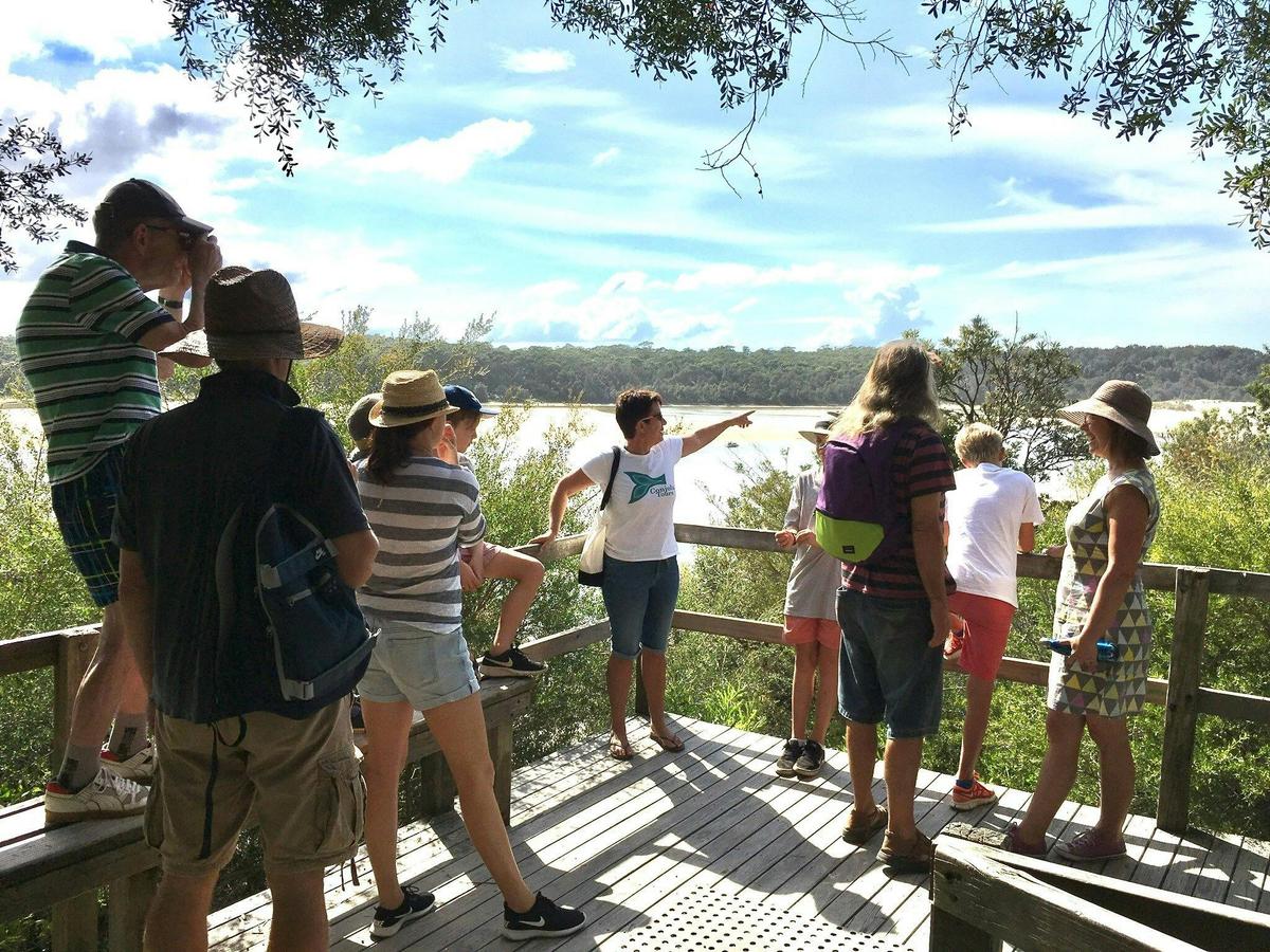 Views from the Conjola Boardwalk