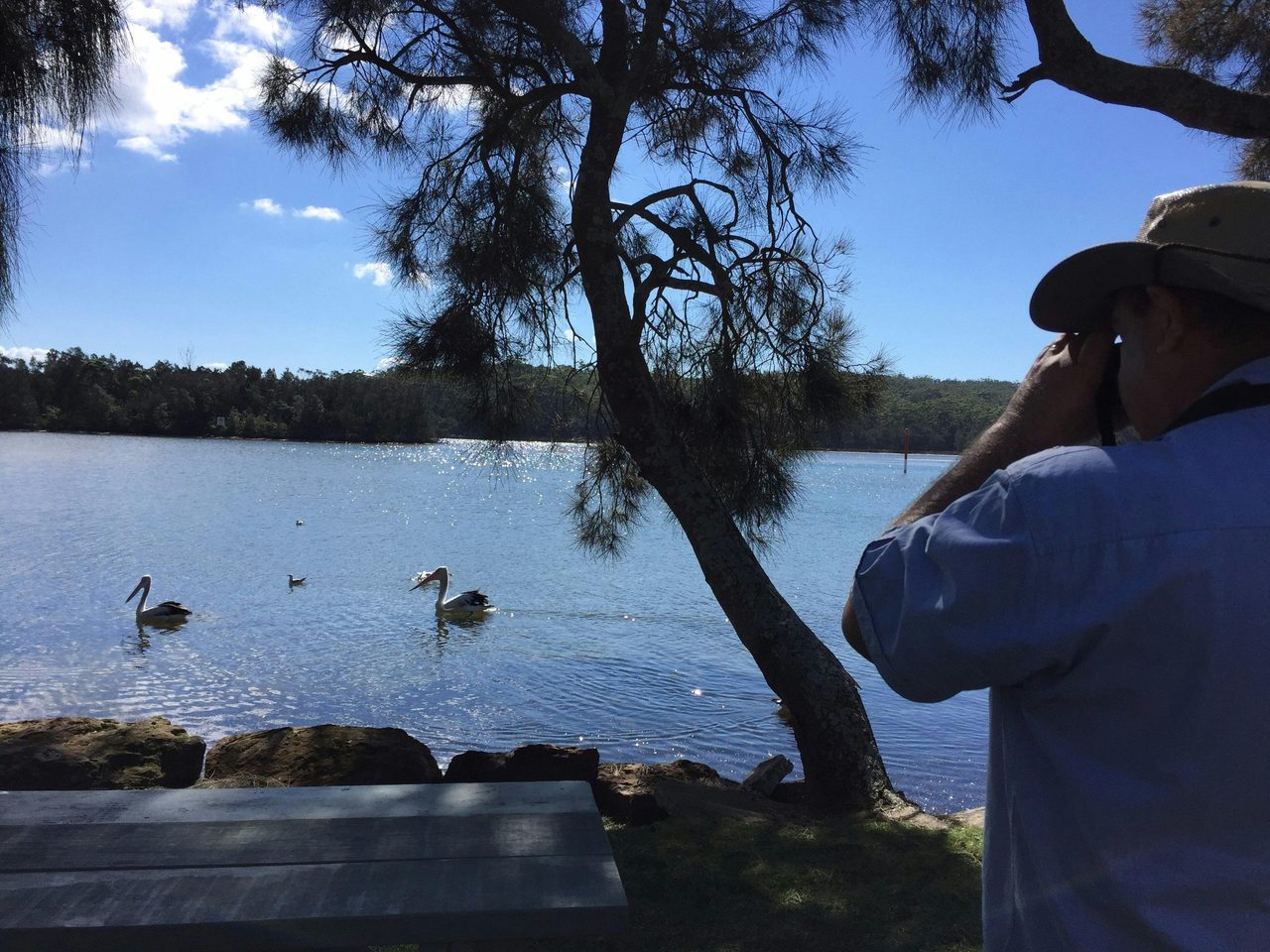 Pelican shots are always popular with photographers on Conjola tours!