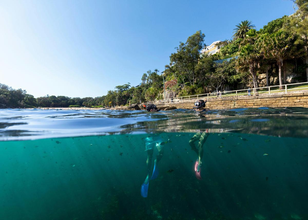 Sydney Snorkeling Tour of Cabbage Tree Bay Aquatic Reserve, Manly