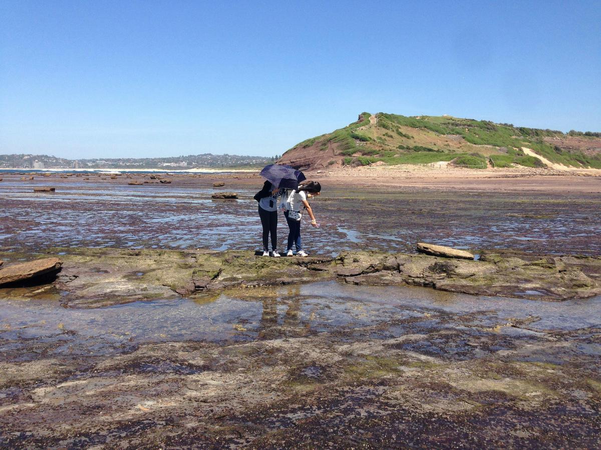 Sydney Private Touring