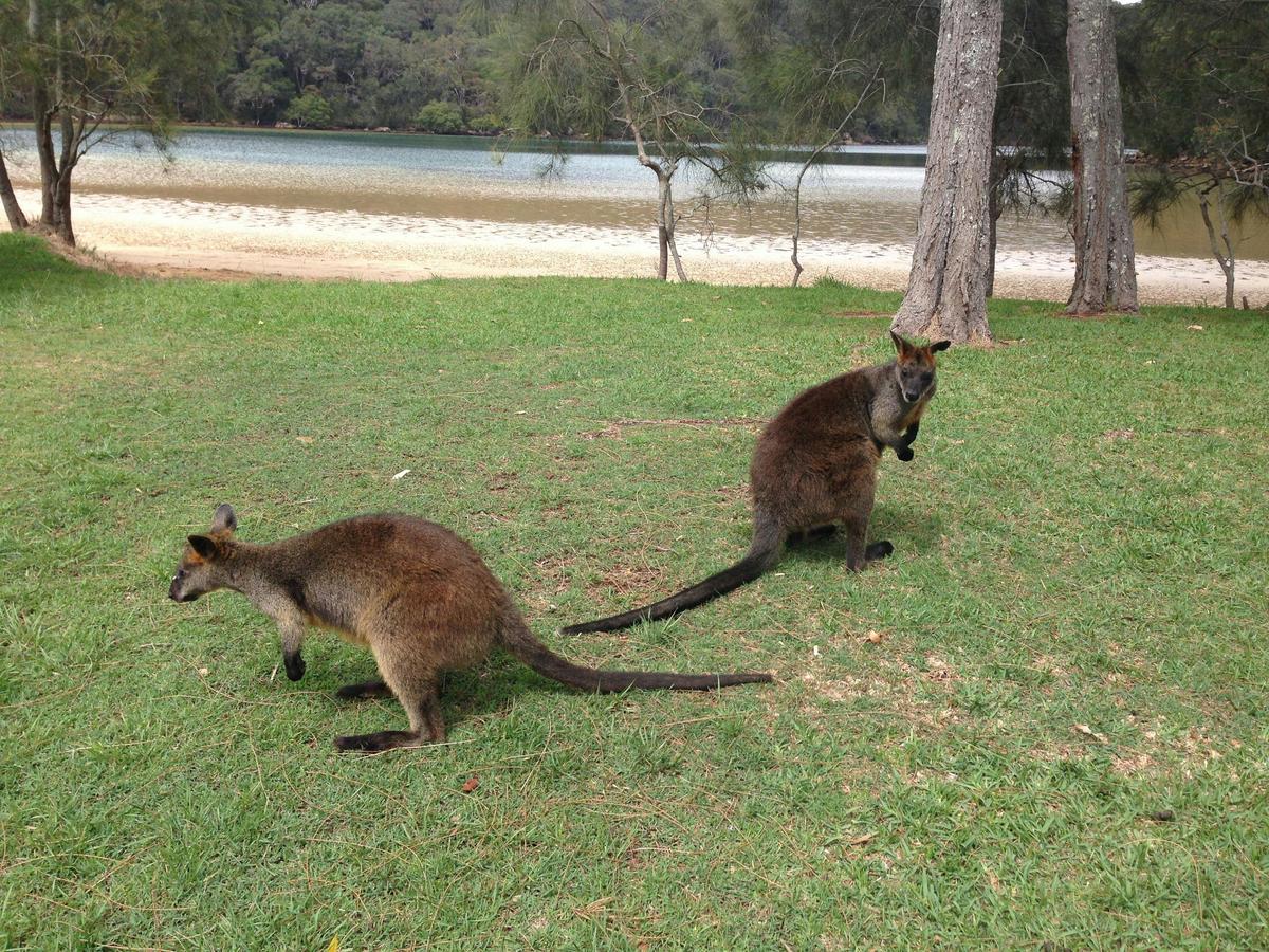 Sydney Private Touring