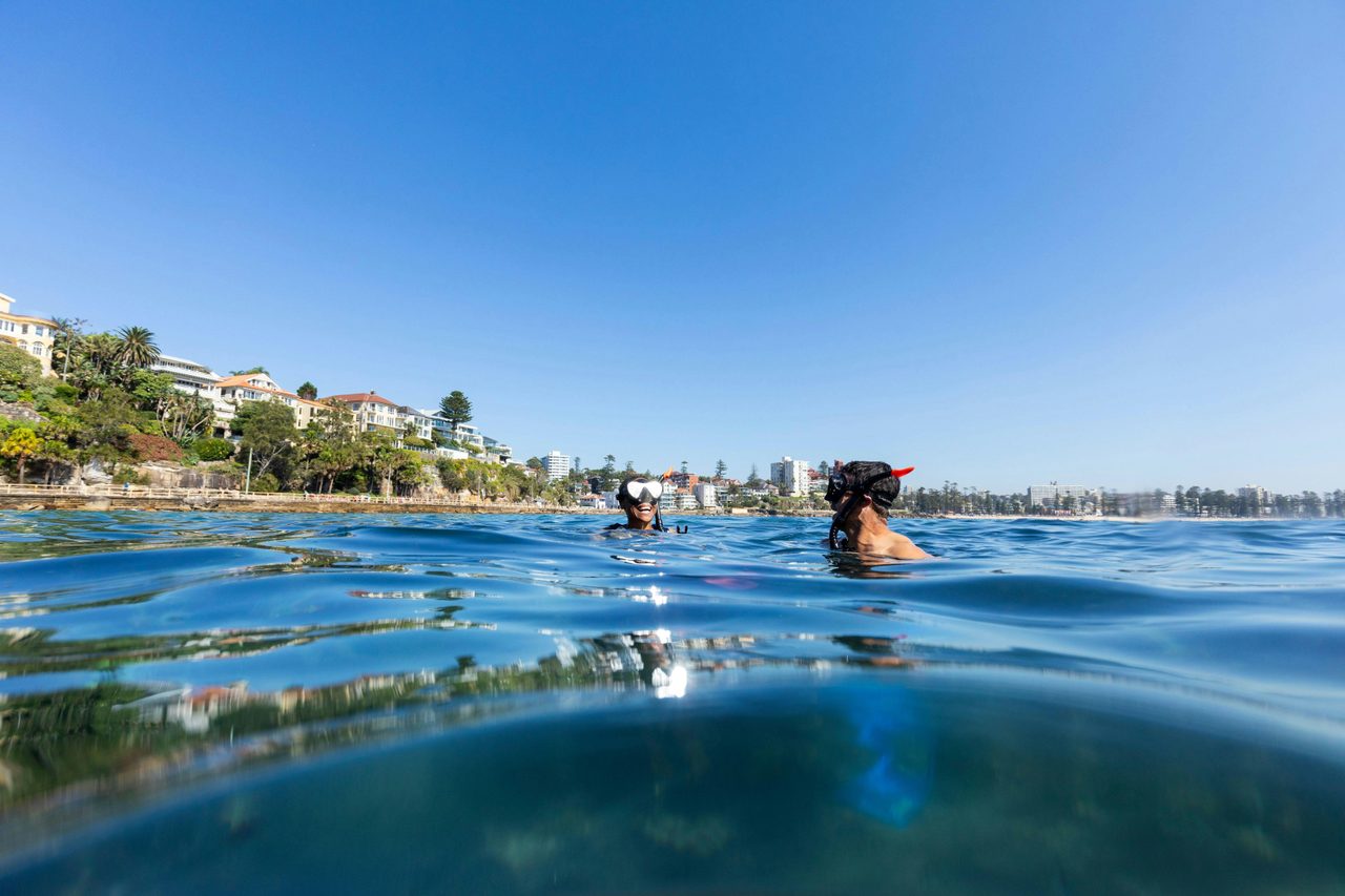 Sydney snorkeling at Manly exploring the Cabbage Tree Bay Aquatic Reserve
