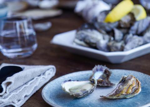 Oyster tasting