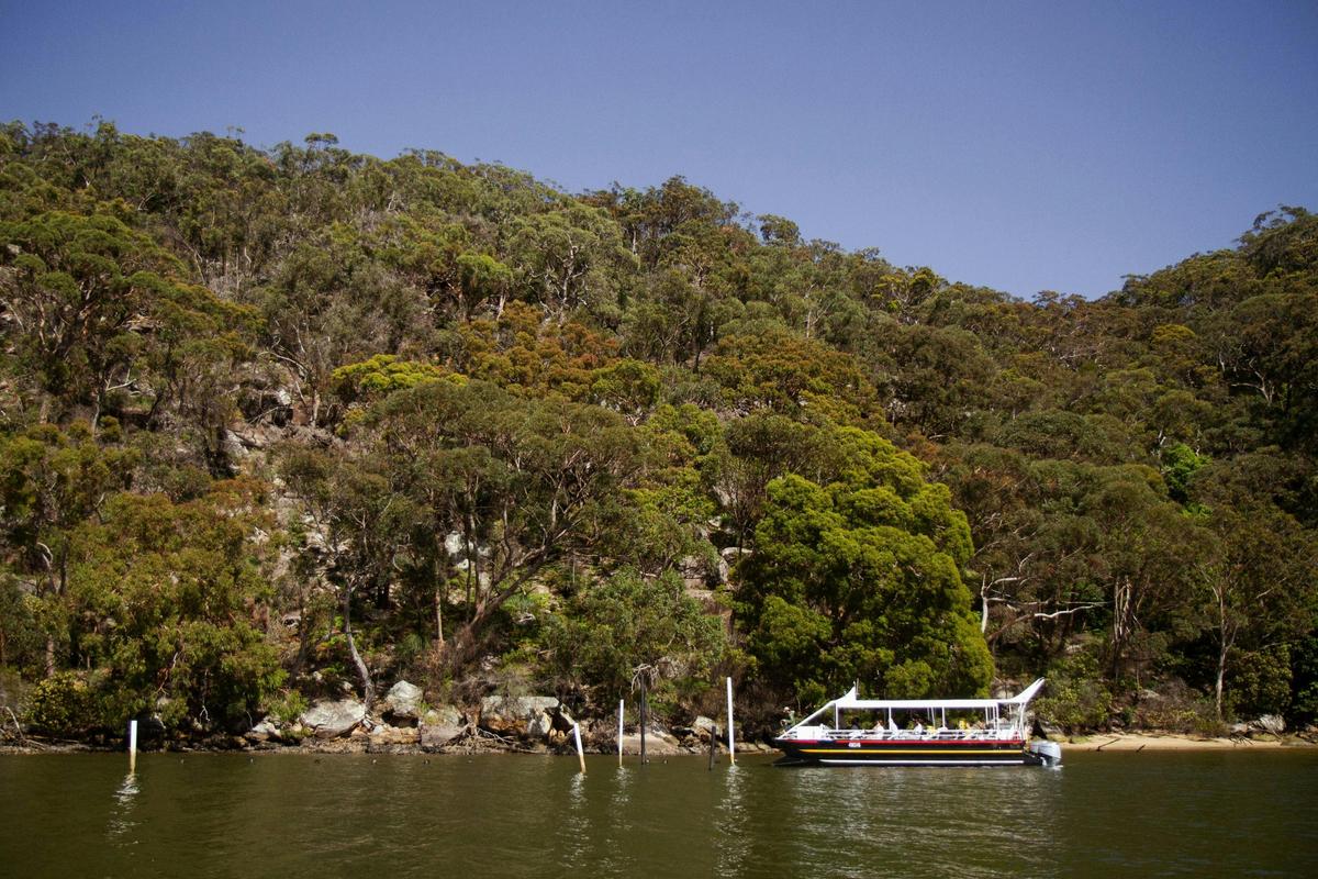 Cruise on the Hawkesbury River