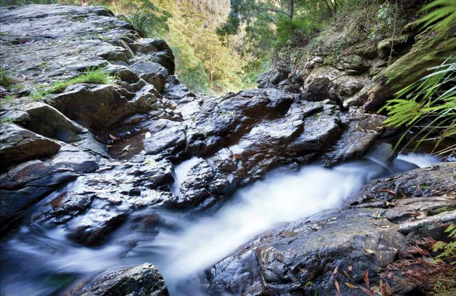 Casuarina Falls Circuit