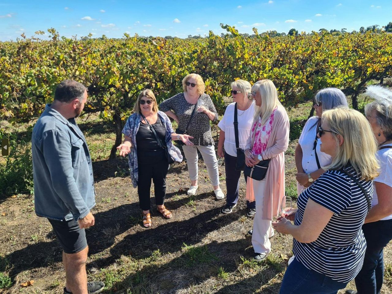 In the vines - tasting grapes