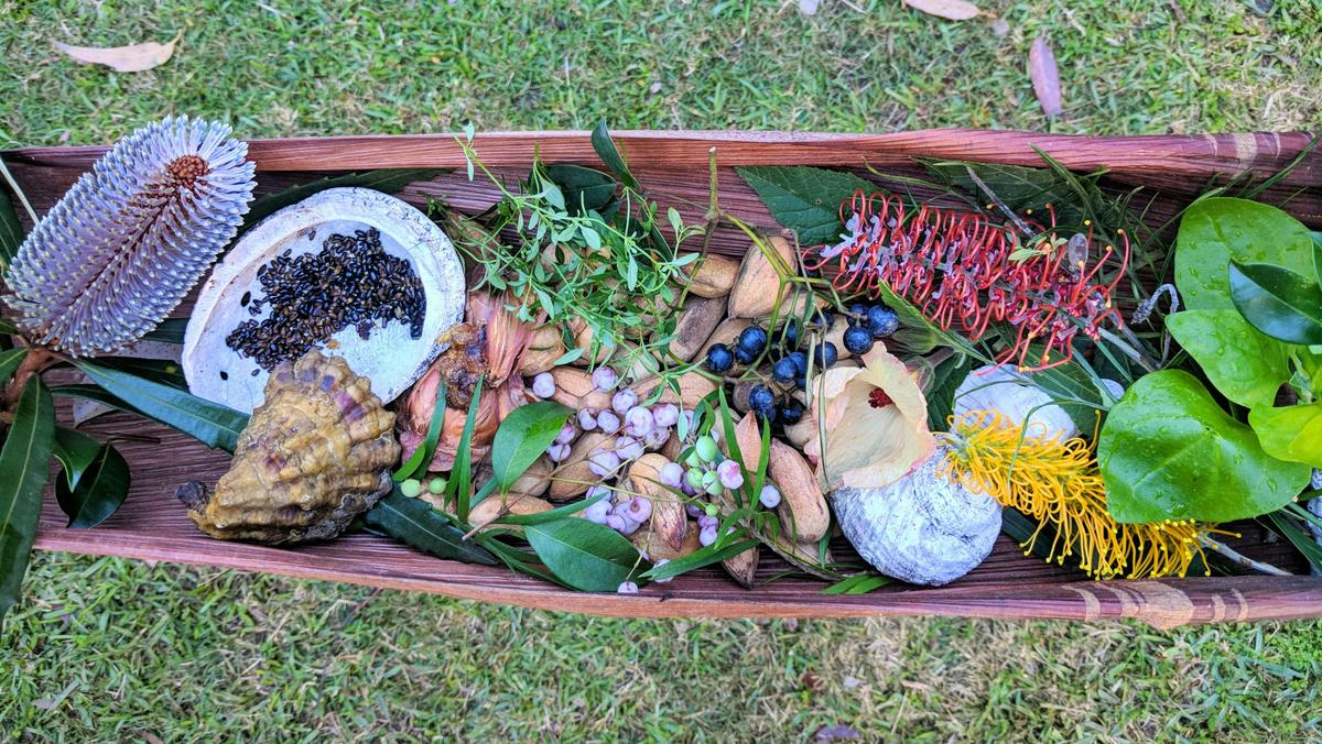 Local traditional bushfood plants
