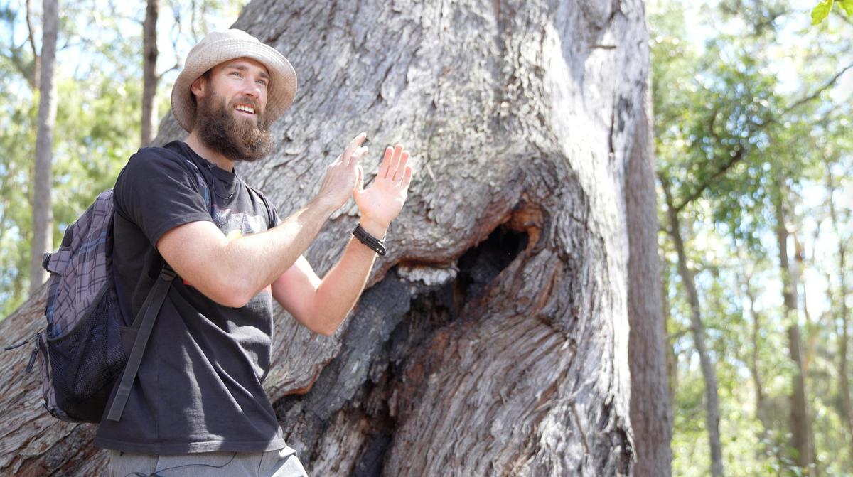 Felix in front of ancient grandmother tree