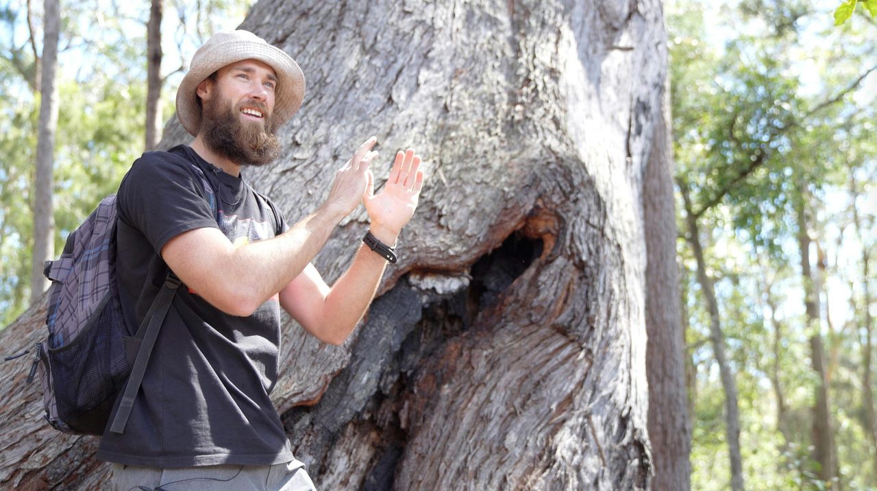 Felix under ancient grandmother tree