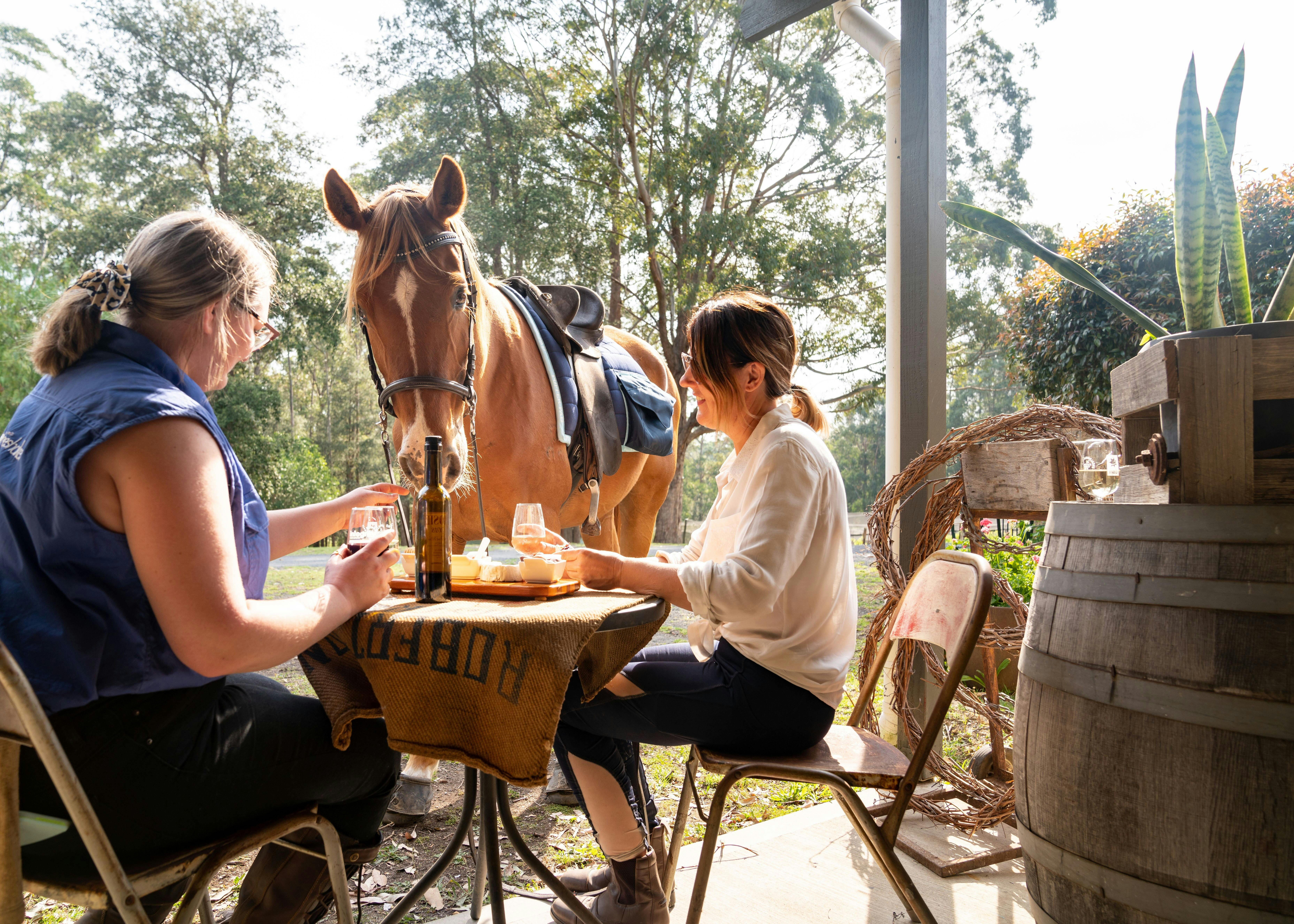 Freddie Bear loves his Cheese at Lyrebird Ridge Organic Wines