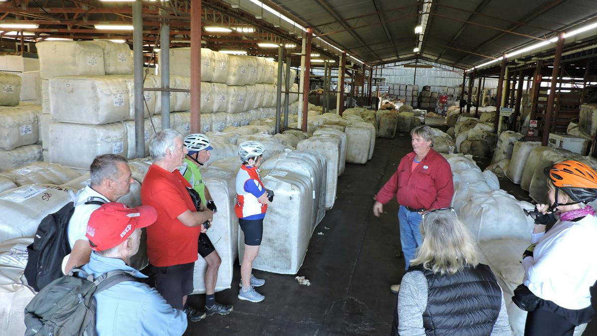 Learning the complexities of grading wool  grading