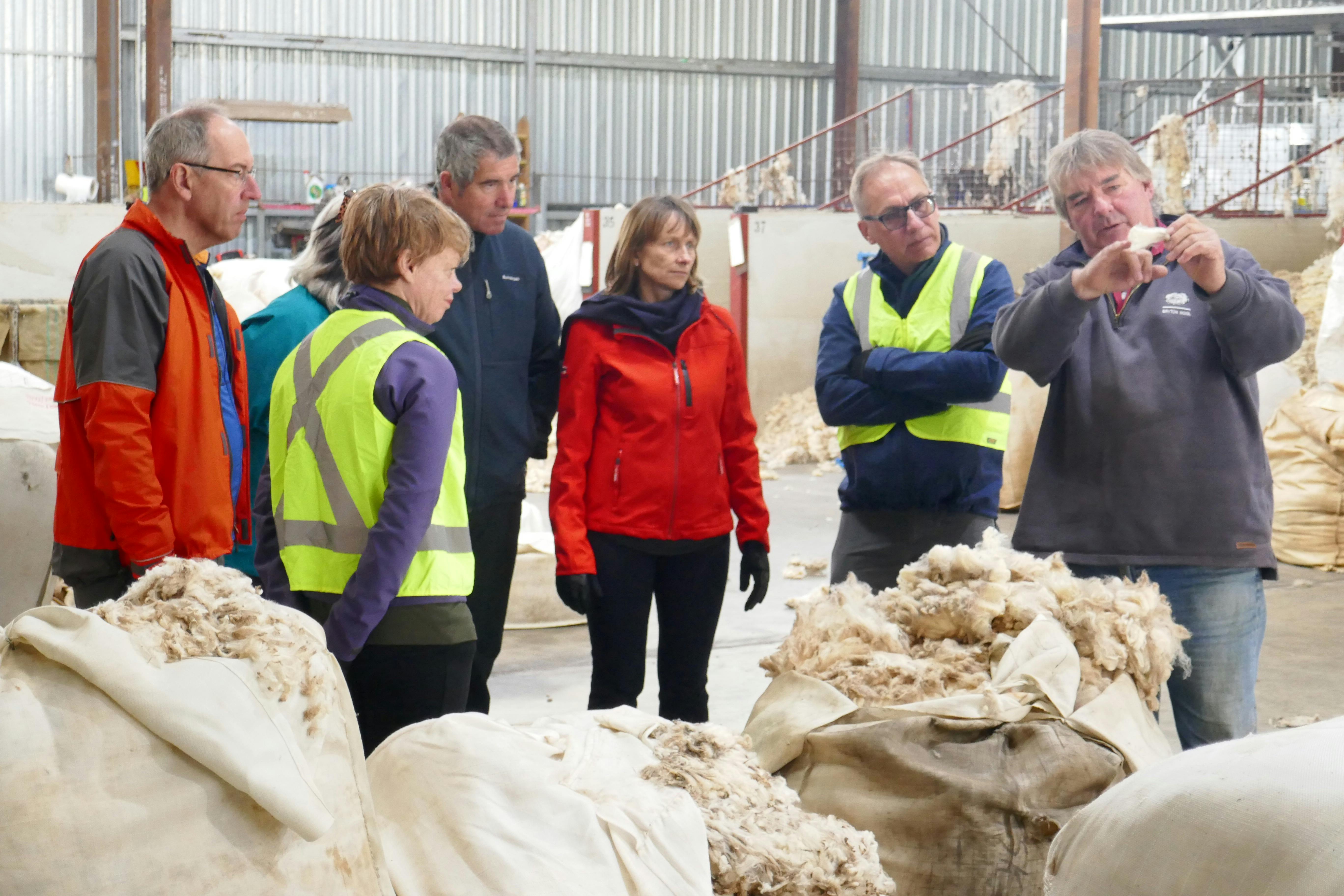 Discussing wool classing
