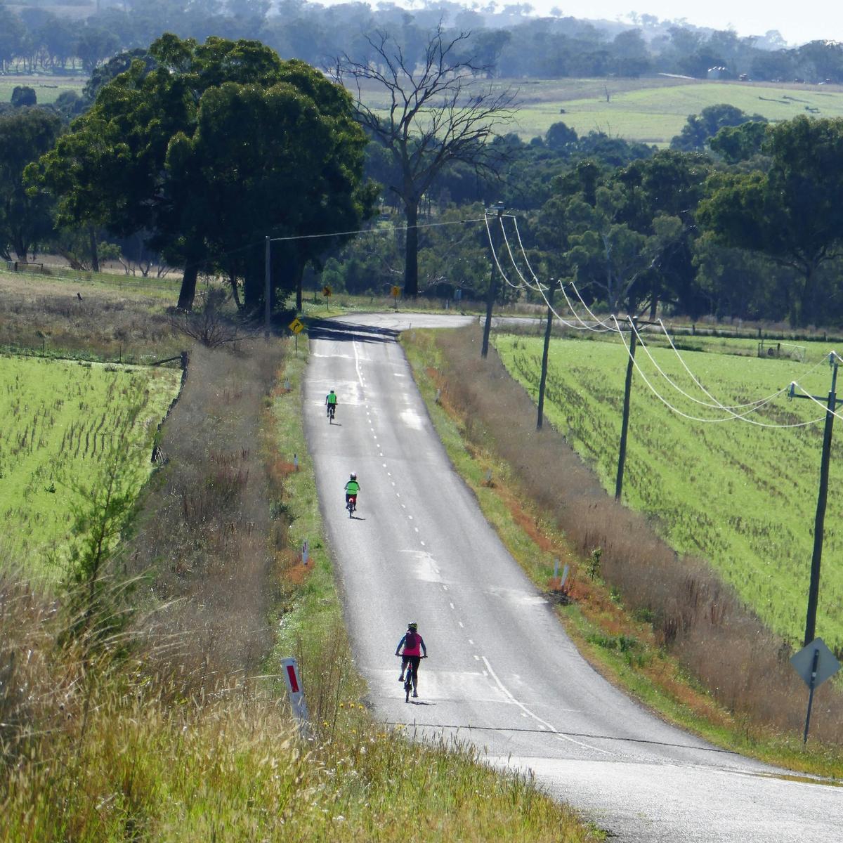 The Road Less Travelled