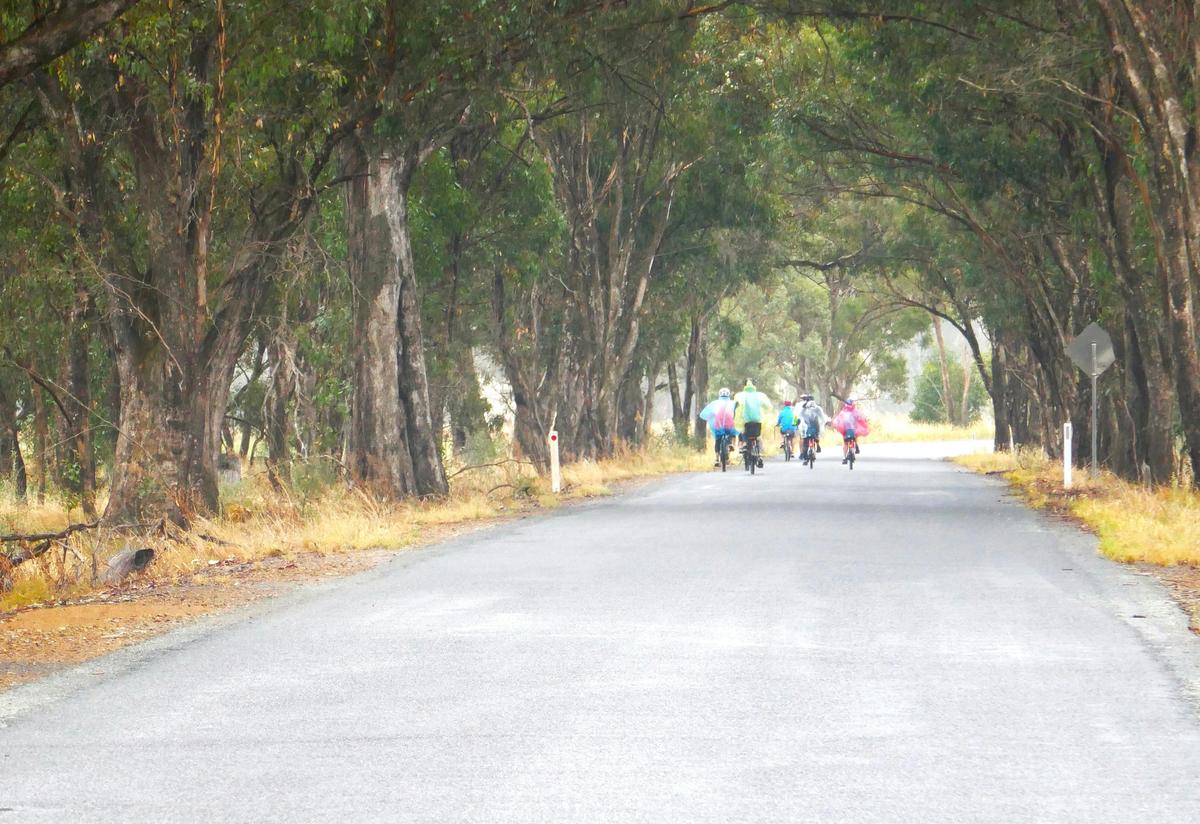 Quiet back roads cycling