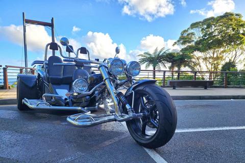 Sealy Lookout and Forest Sky Pier