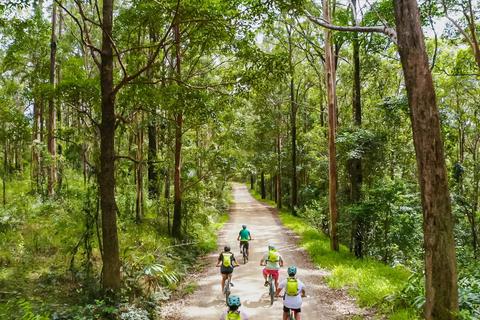 Cruising on E Bikes through Mount Jerusalem National Park