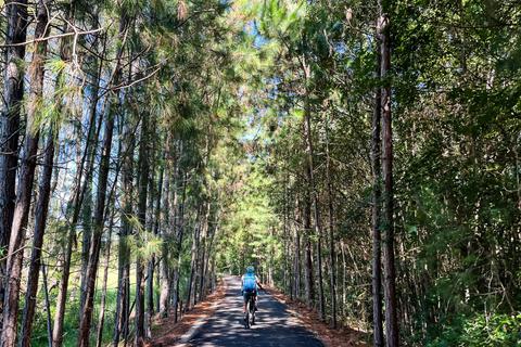 Beyond Byron E Bikes