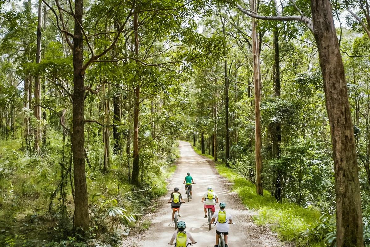 E Biking effortlessly through Mount Jerusalem National Park