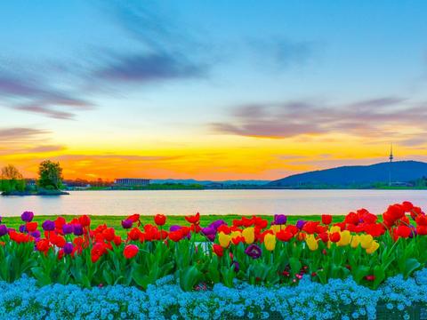 Floriade & Tulip Time