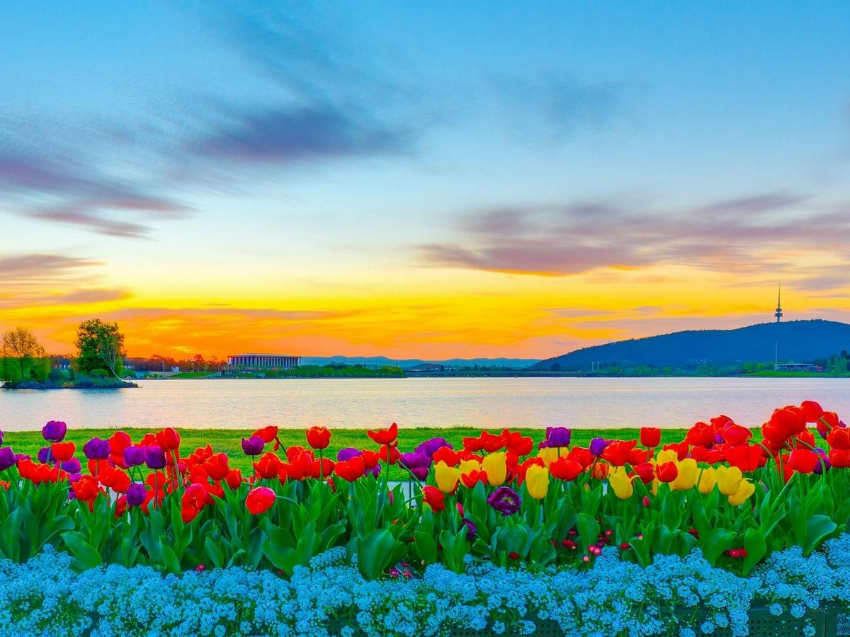 Floriade & Tulip Time