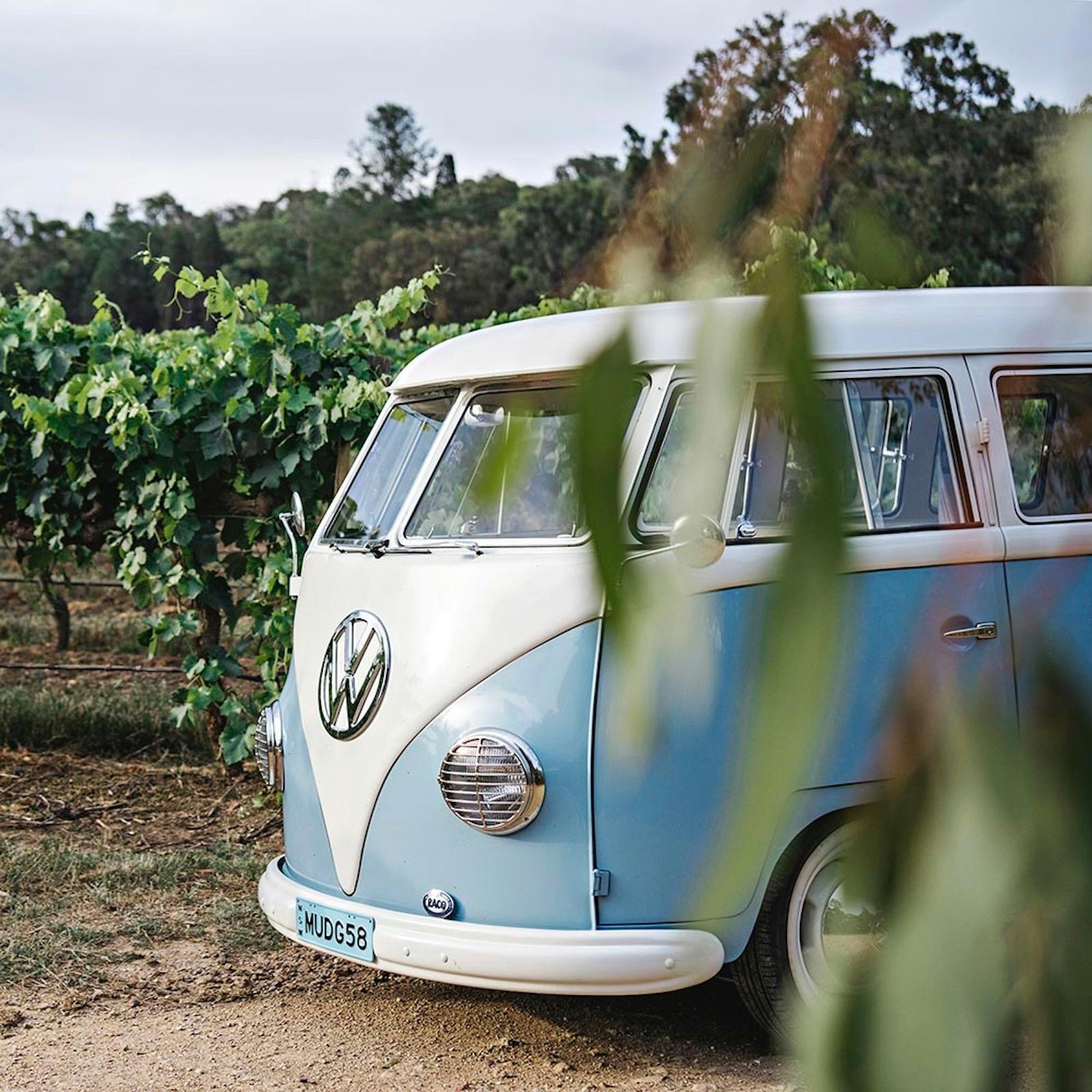 Country Kombi on wine tour.