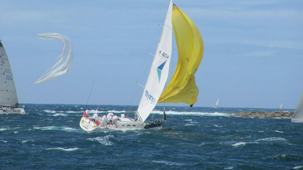 Flying Fish Sailing