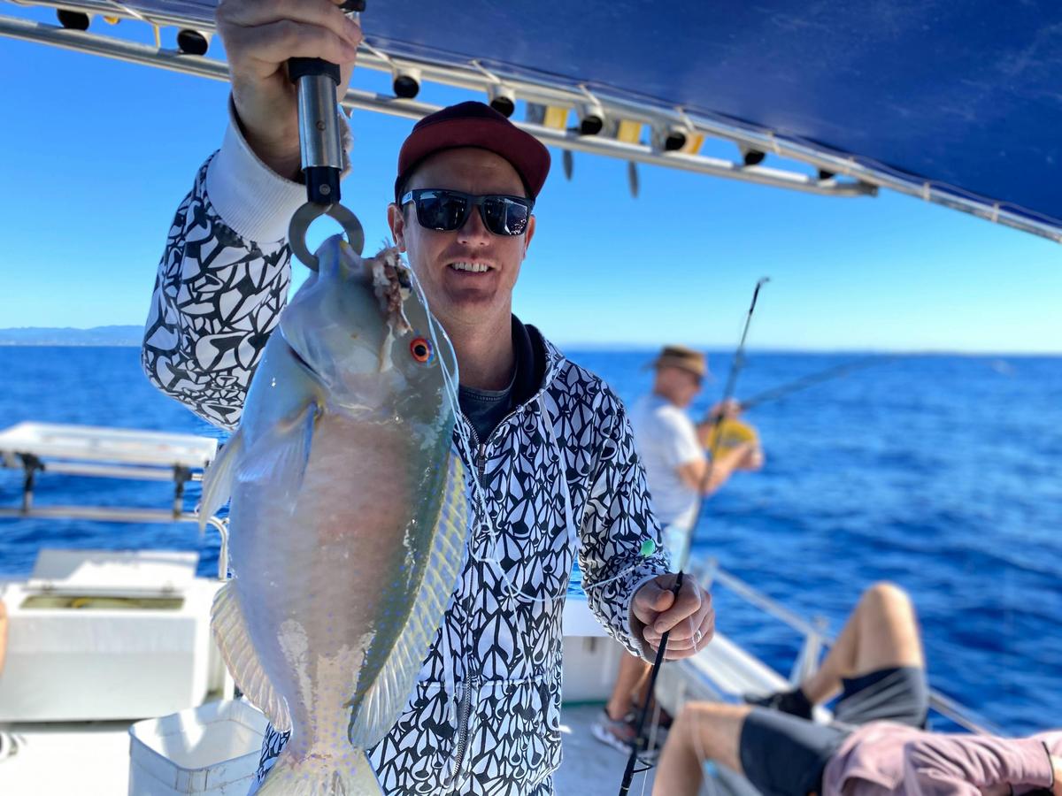 VENUS TUSKFISH