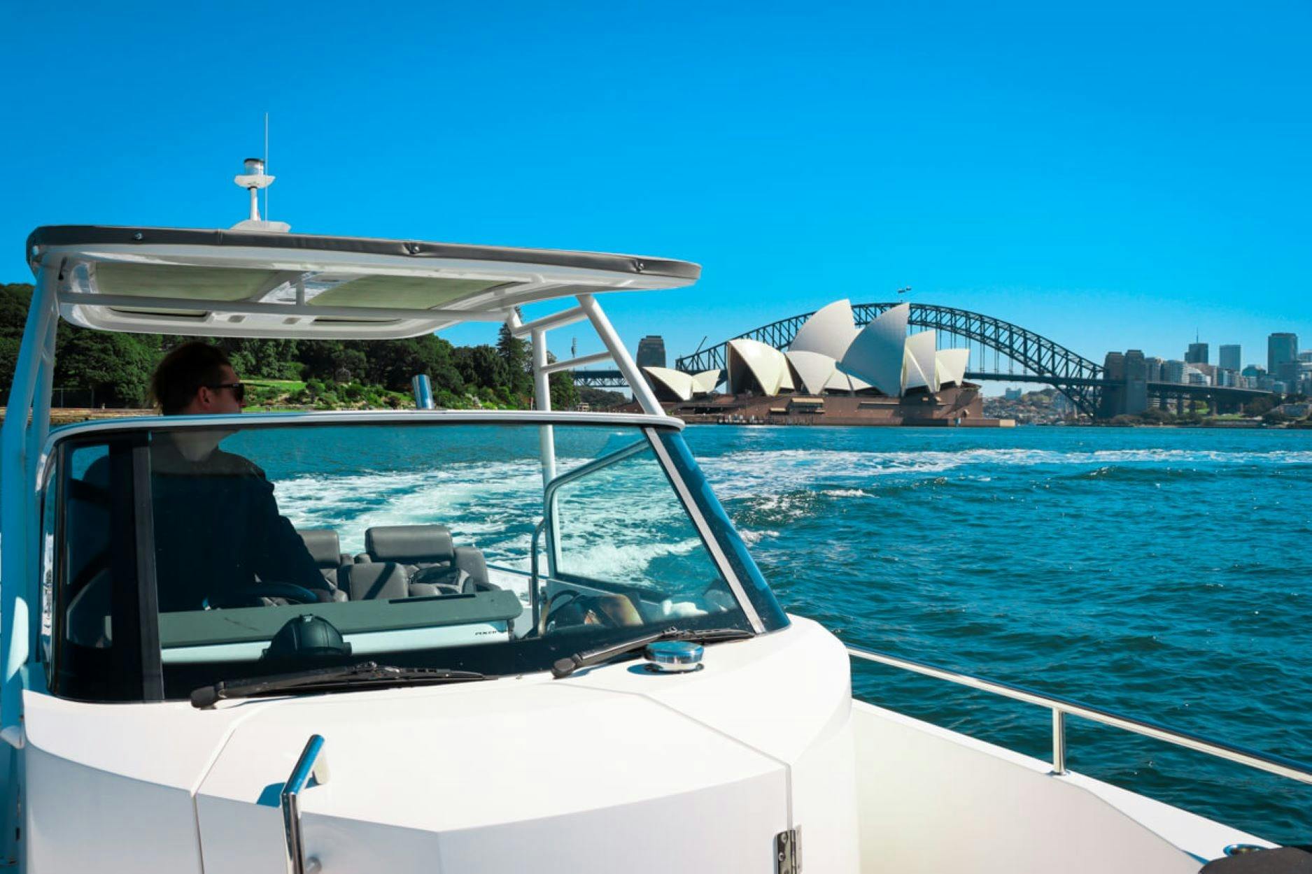 axopar on Sydney harbour