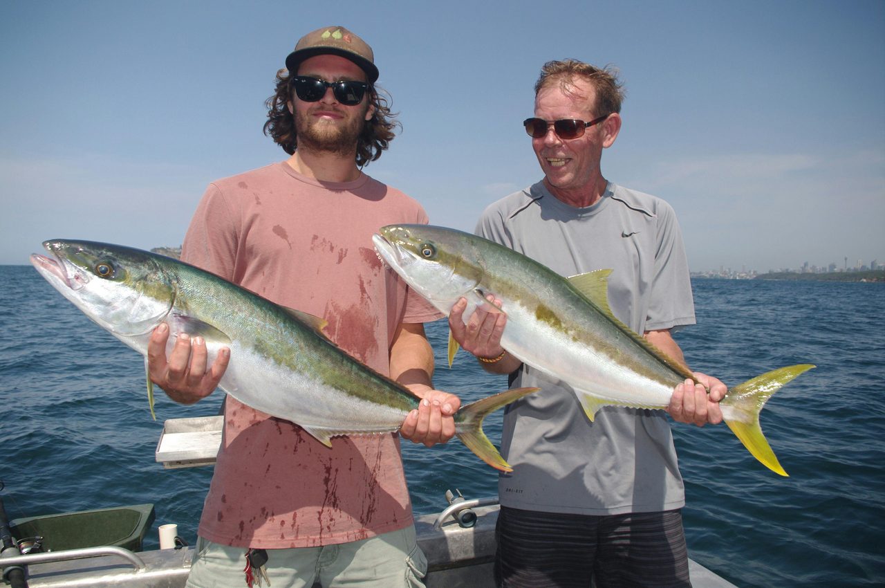 Kingfish
