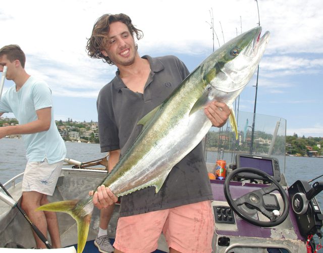Fishabout Sydney Harbour