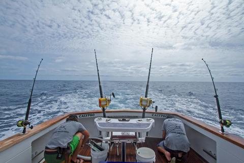 Calypso Fishing Adventures