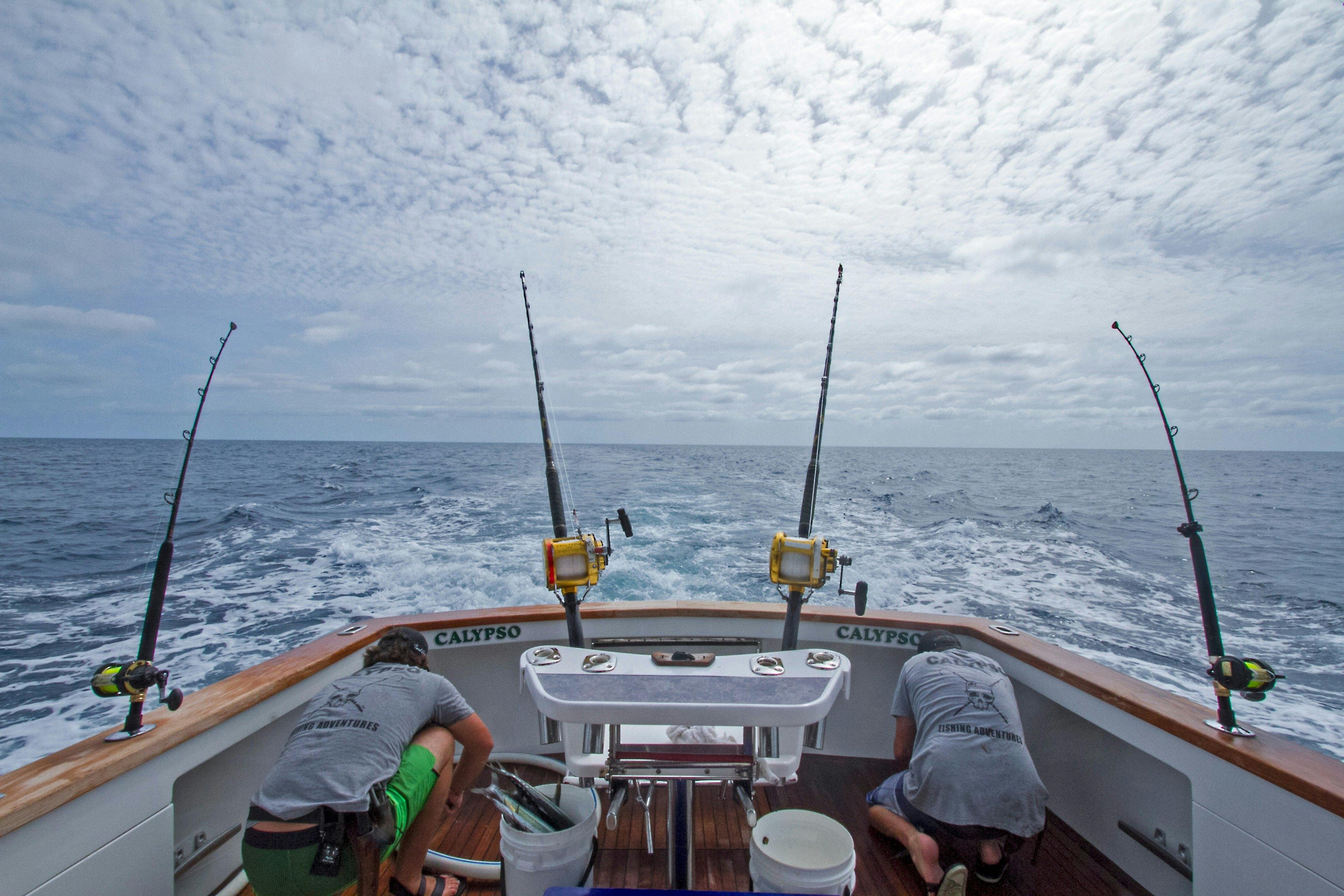 Enjoy a day game Fishing onboard Calypso Fishing Adventures