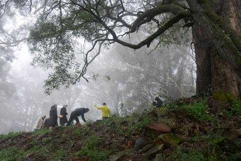 Learn about hoe to forage for edible wild food