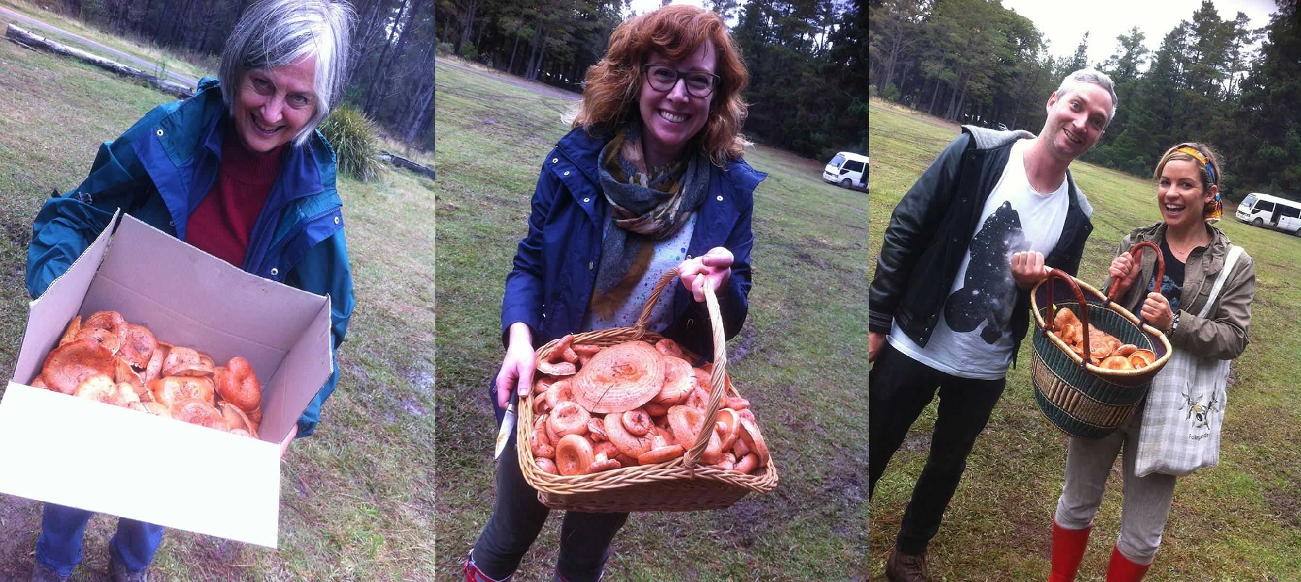 Learn how to safely harvest edible mushrooms in NSW- Skill for life!
