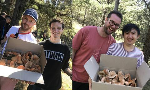 Mushroom foraging in NSW