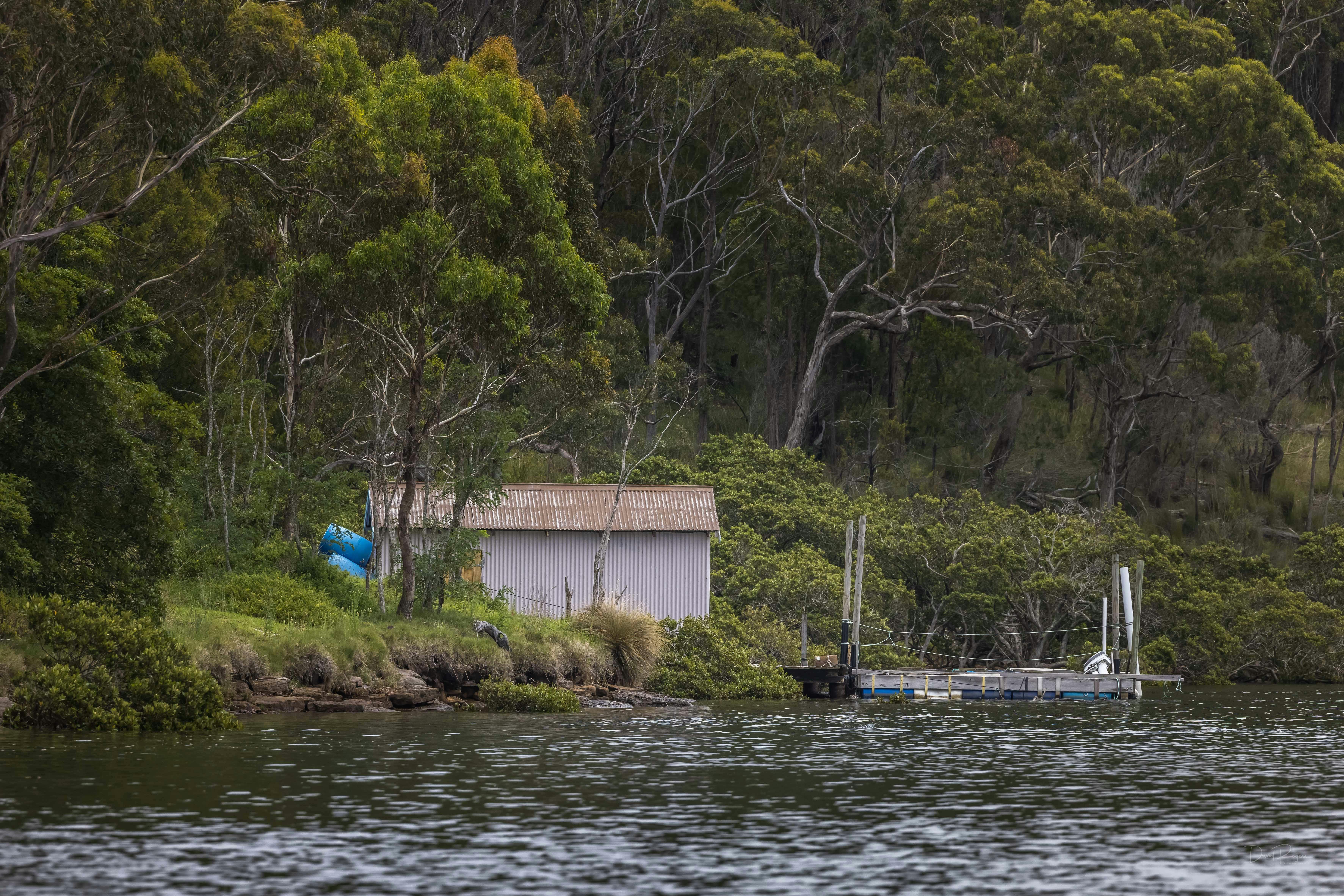 Captain Sponges Magical Oyster Tours
