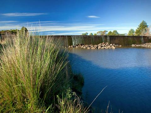 Cecil Hoskins Nature Reserve