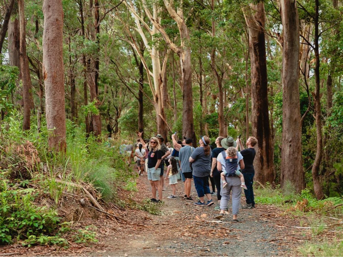 BMNAC walking tour