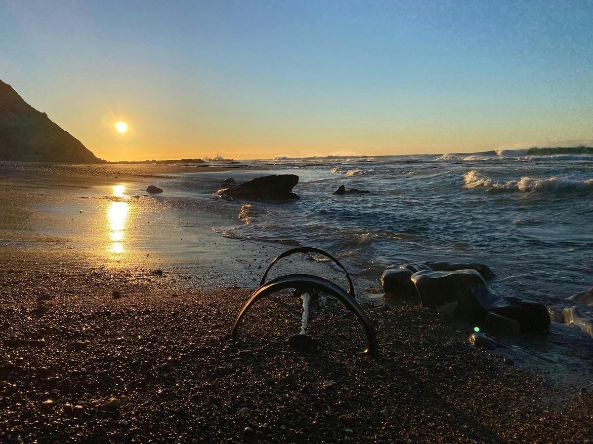 Remains of a coal wagon, Burwood Beach