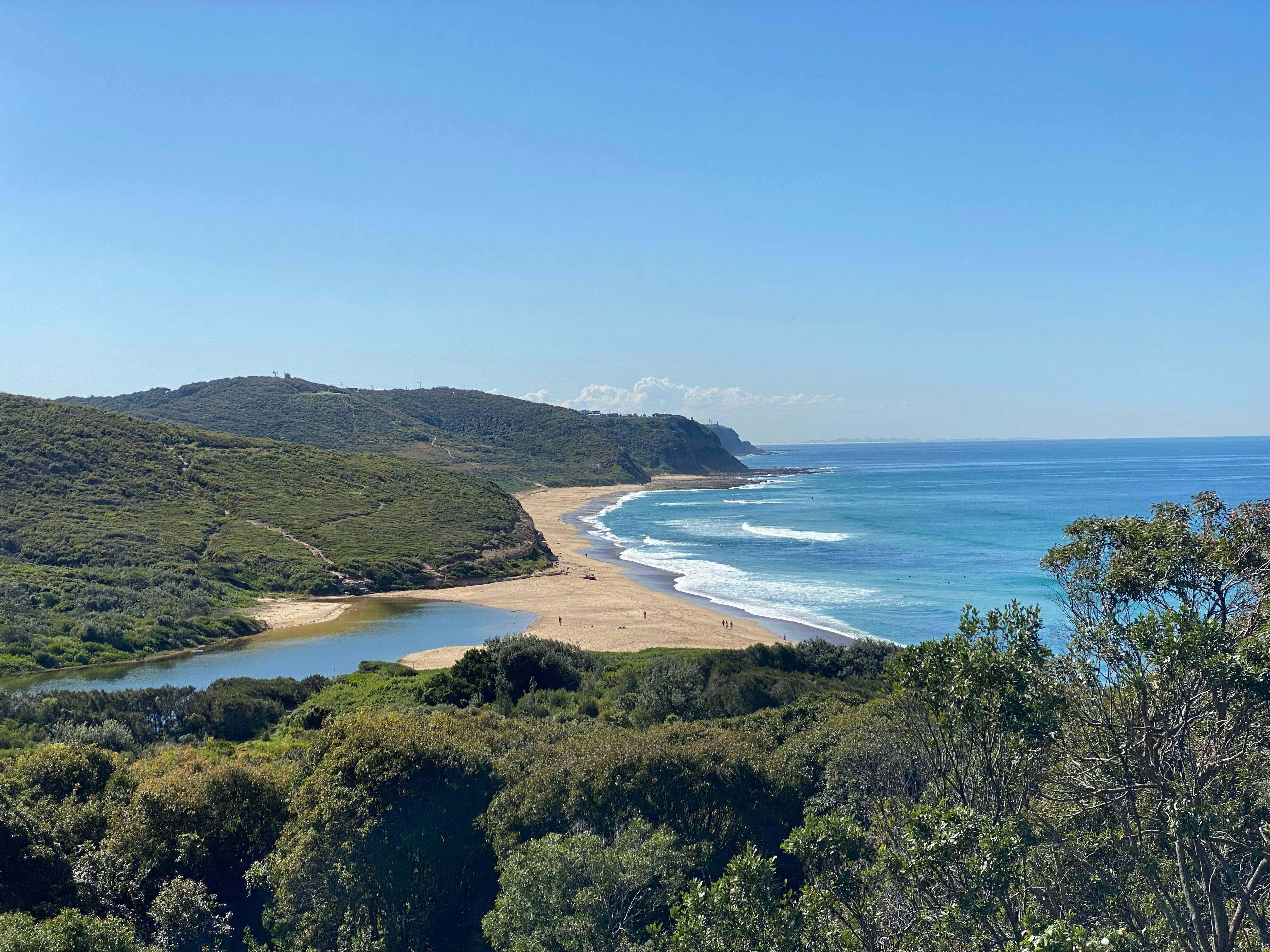 Looking north over the forests and Glenrock Lagoon along Burwood Beach
