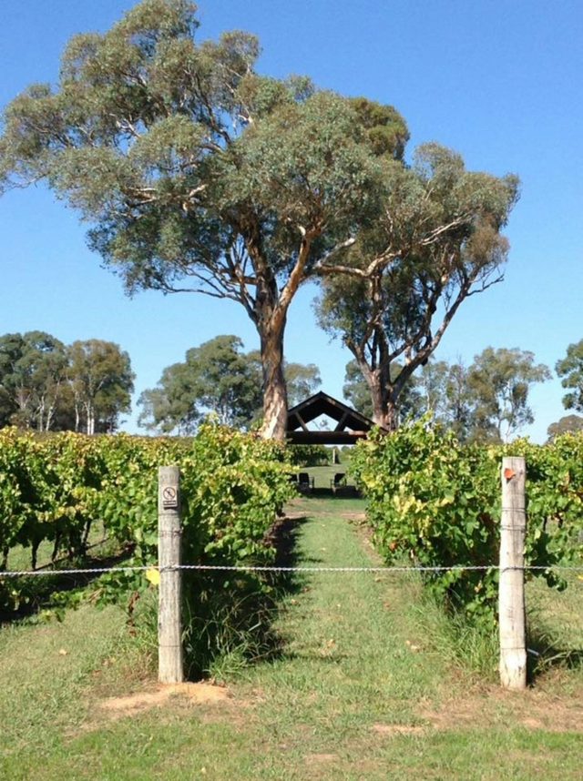 Canberra Winery Tours