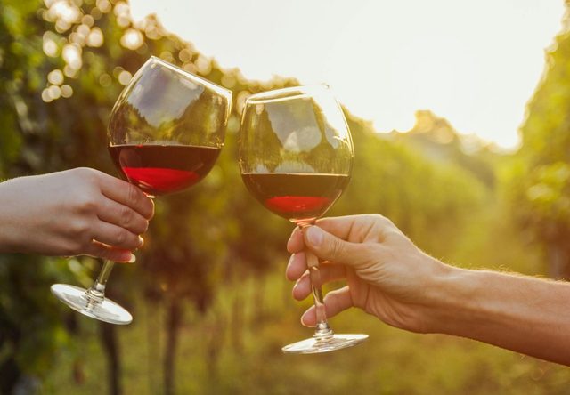 Grape Escapes Canberra Wine Tours