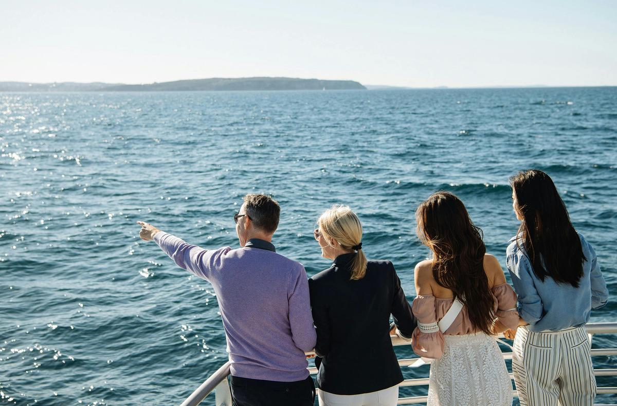See whales beyond Sydney heads