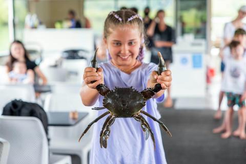 Catch A Crab at Birds Bay Oyster Farm
