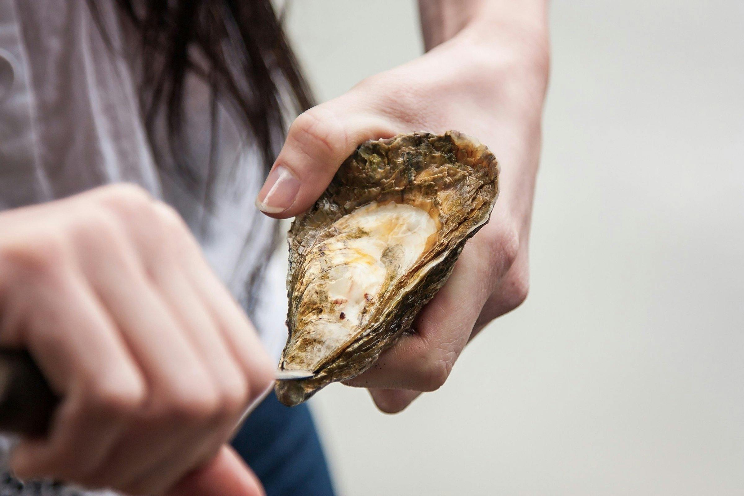 The famous Sydney Rock Oyster
