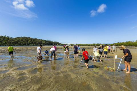 Yabby Catching on the sandbanks 