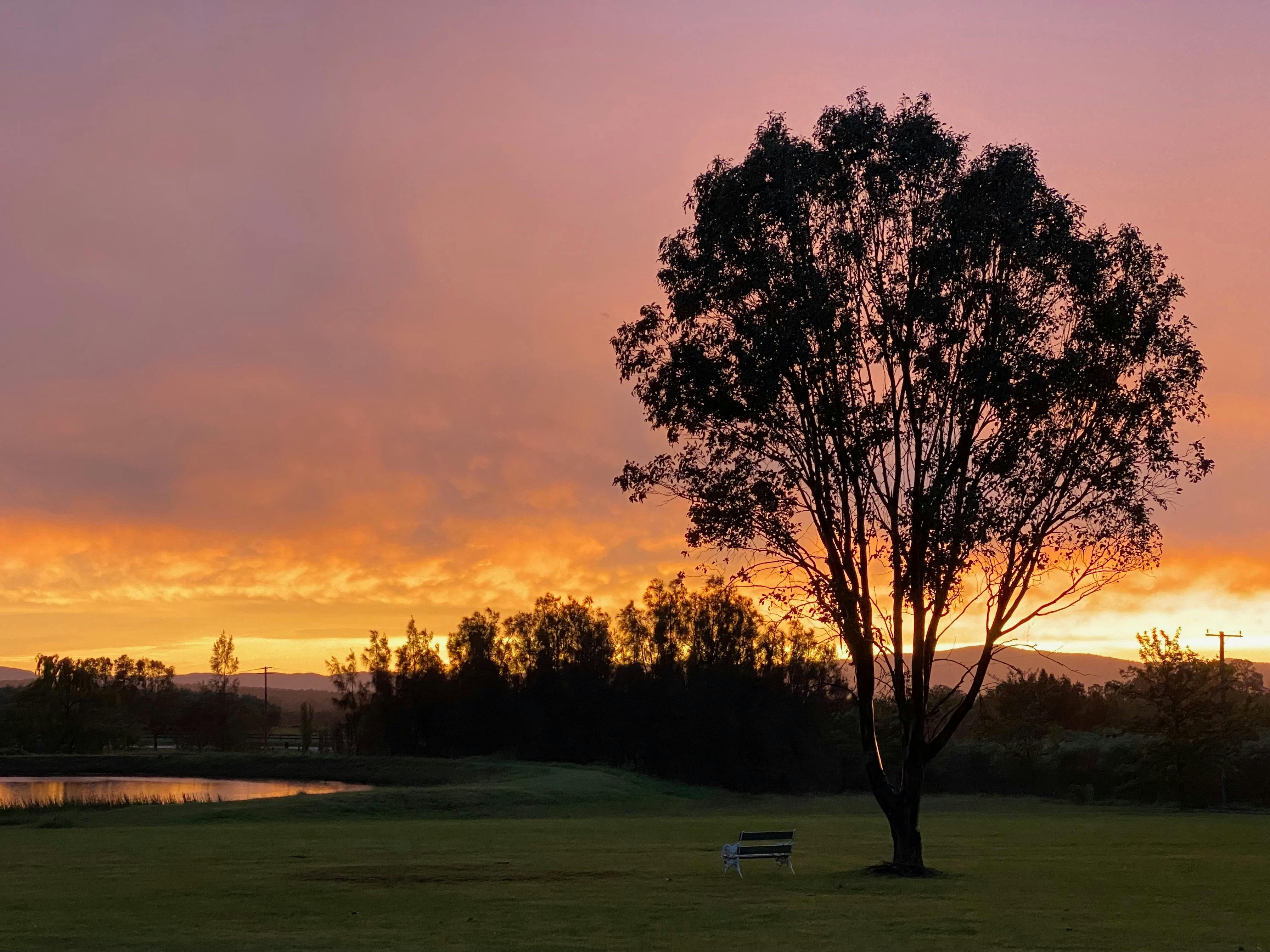 Sunset over the Brokenback Range