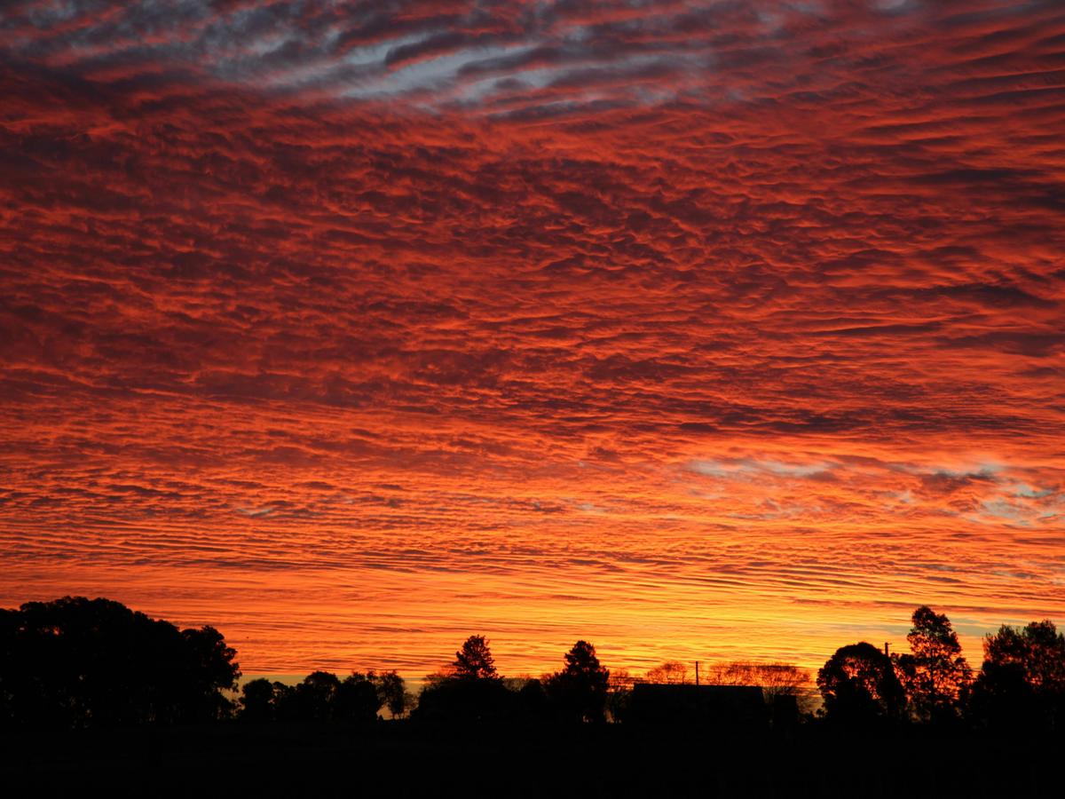Stunning Hunter Valley sunset
