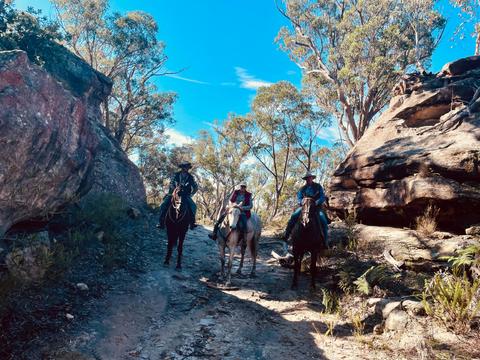 Rocky adventures in Belanglo State Forest